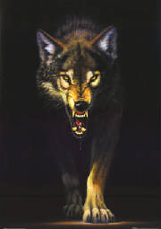 a2wolf.jpg